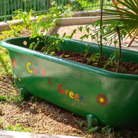 Casa vacanze Cute & Green